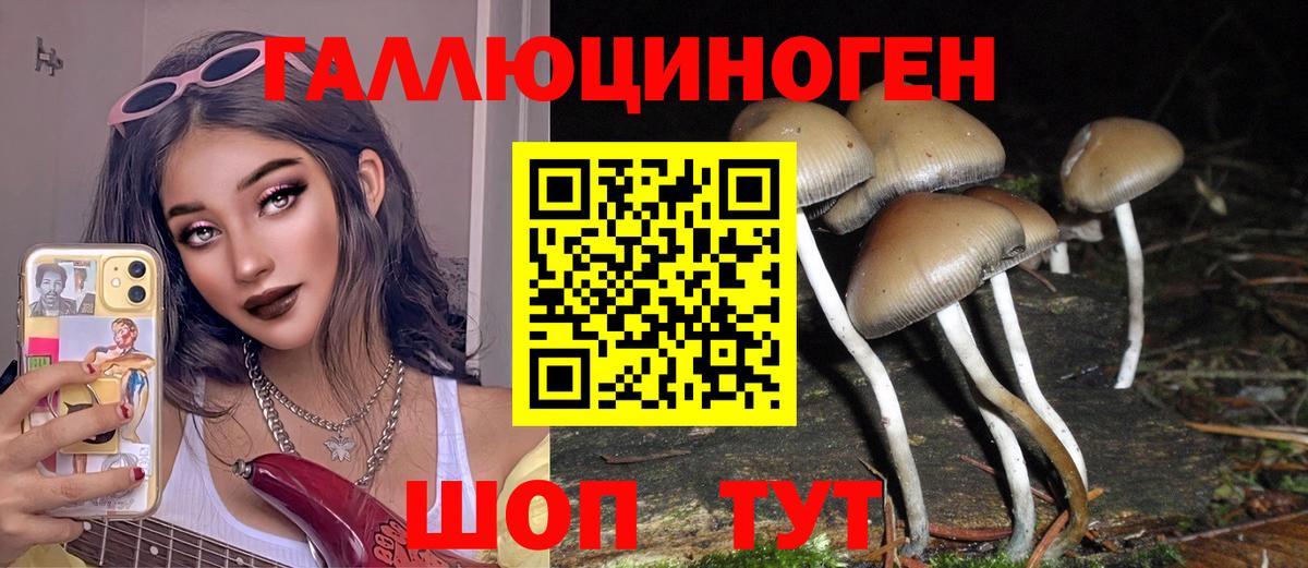 Галлюциногенные грибы Cubensis  Вход с VPN  Горячий Ключ  Псилоцибиновые грибы Cubensis 